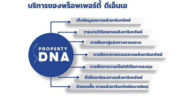 7633 PropertyDNA 2